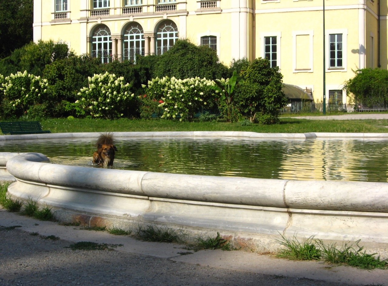 2025-08-15_09-38-44_Dog fountain (2).jpeg